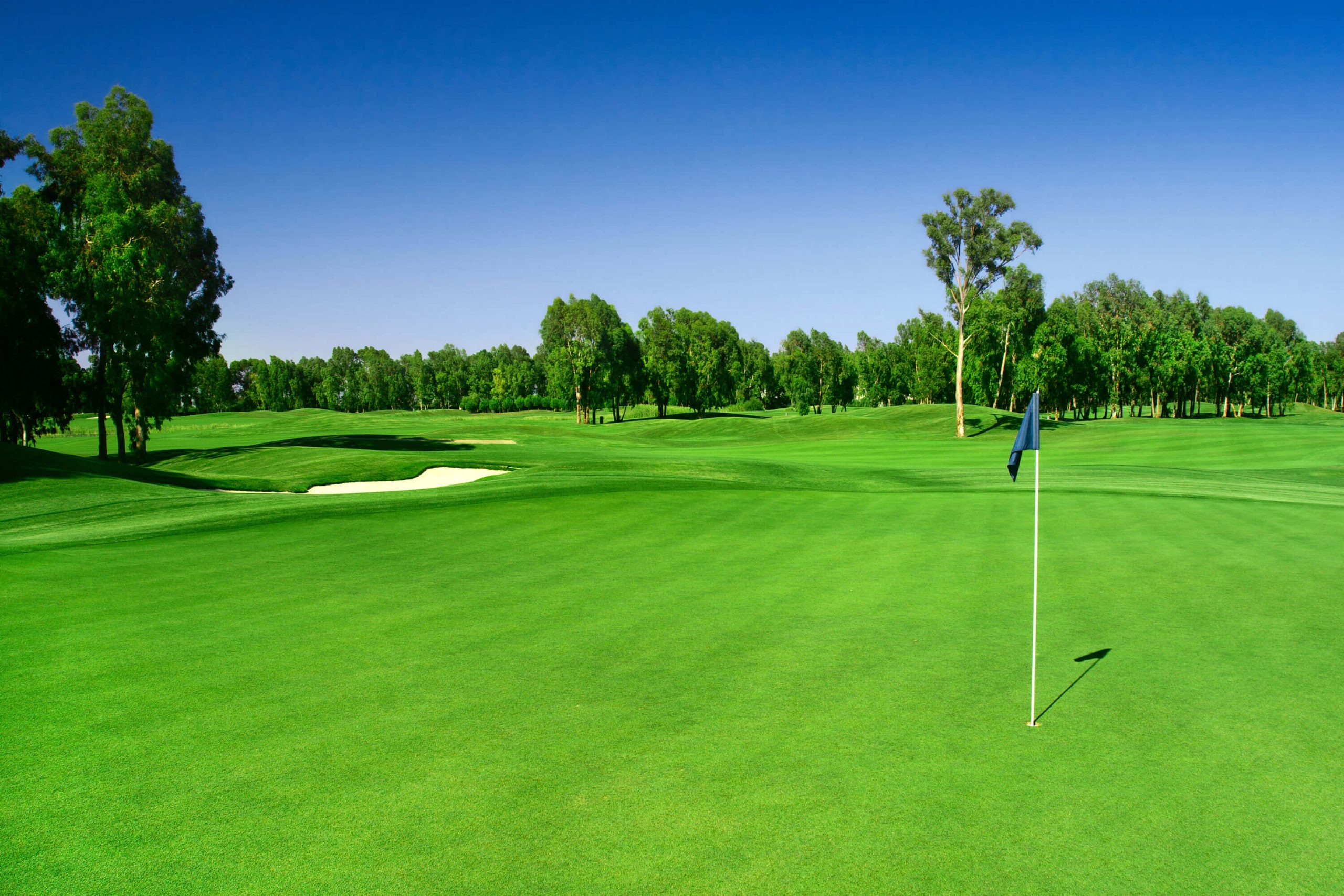 Turfcare Premium - Turfcare Australia